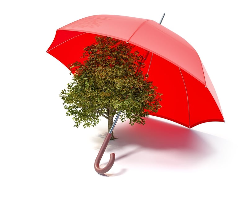 Eco-Friendly Artworks